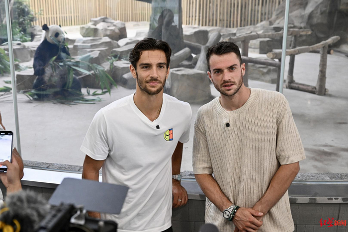 强大的得分 强大的得分