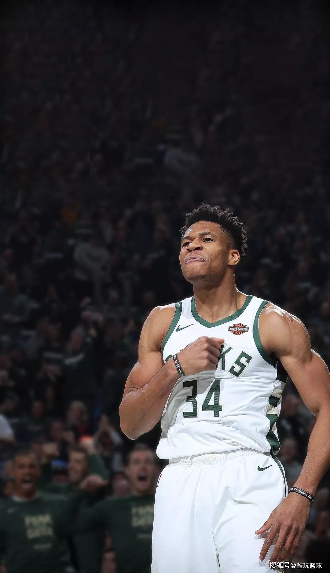 假设原计划 假设原计划